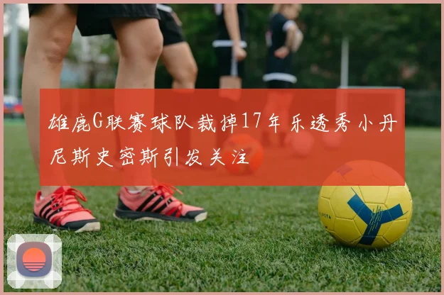 雄鹿G联赛球队裁掉17年乐透秀小丹尼斯史密斯引发关注