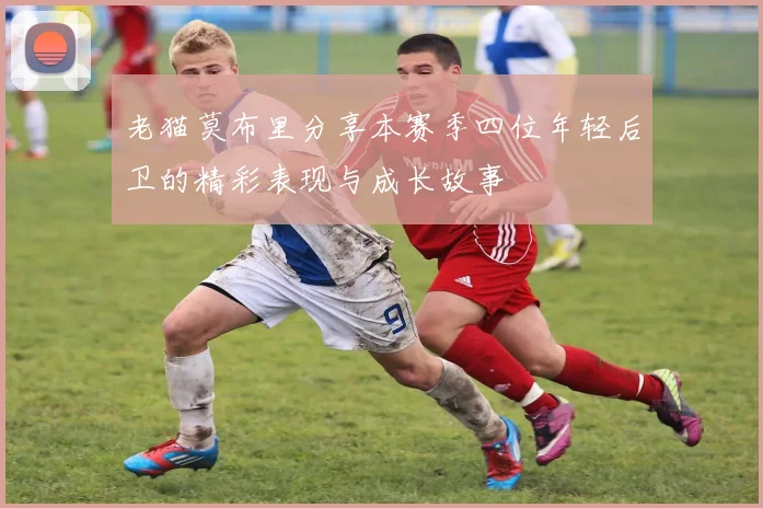 老猫莫布里分享本赛季四位年轻后卫的精彩表现与成长故事
